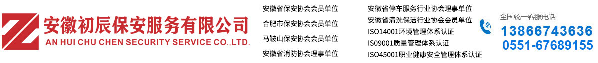 索文翻譯公司的logo